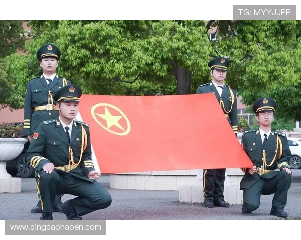 武汉篮球队的崛起之路：一段激情与奋斗交织的纪实故事