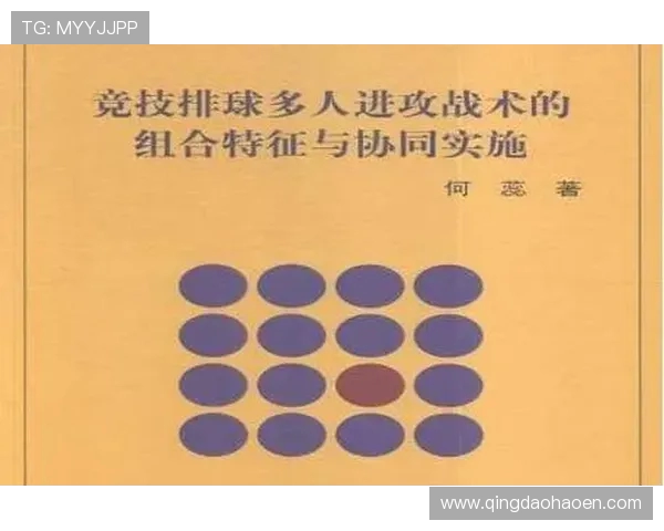 赛后分析：上海排球队与深圳排球队速度对比及战术探讨