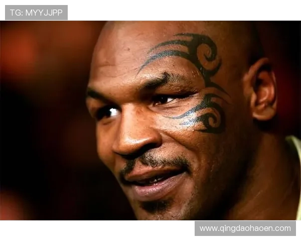 拳王威尔德强势回归挑战华盛顿赛场争锋再掀拳击热潮