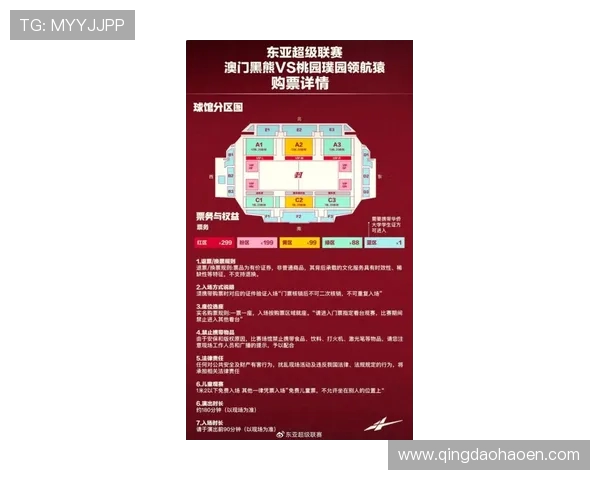 欧冠门票系统瘫痪数万球迷排队12小时争抢梦寐以求的入场券