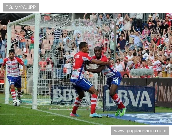 维迪奥顿与兰斯的精彩对决比分揭晓，赛季战绩引人关注