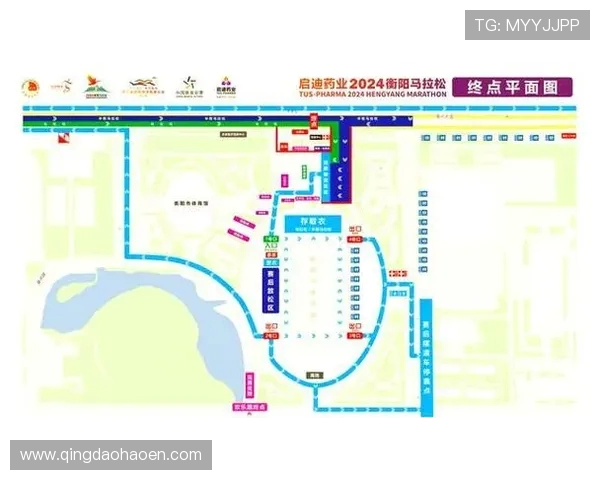 从零起步掌握乒乓球配合技巧的全面指南与实战经验分享 从零起步掌握乒乓球配合技巧的全面指南与实战经验分享