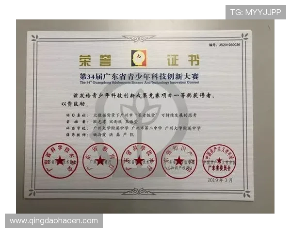 深圳排球队的灵活性探讨与技术创新的结合之路